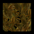 DOMAIN 1995