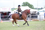 SBM_11342