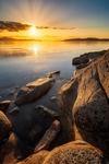 Diffused Gold