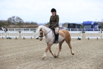 SBM_006996