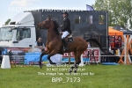 BPP_7173