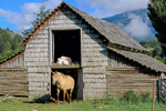 Patagonia 023