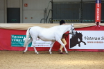 SBM_02929