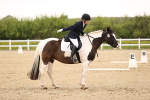 SBM_006844