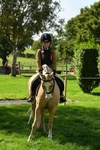 S3 - TSR Ridden Pony Showing portfolio