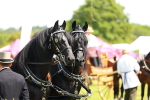 SBM_06651