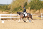 SBM_017788