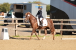 SBM_009182