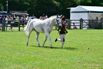SBM_03884