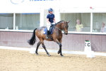 SBM_007700