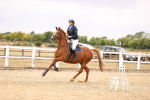 SBM_007410