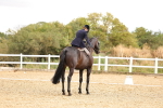 SBM_004638
