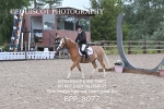 BPP_8077