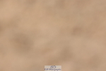 240706A-142219-03062