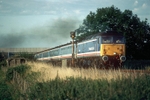 28th July 1992
