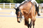 SBM_009632
