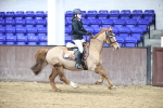 SBM_000263