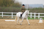 SBM_007809