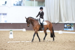 SBM_006947