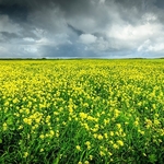 AA-OH-09-North Uist, Outer Hebrides