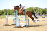 SBM_002963