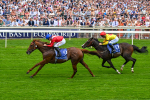 Race 1 1.55pm Al Basti Equiworld Dubai Mile Handicap portfolio