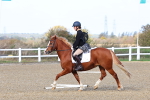 SBM_000880