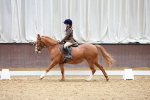 SBM_001049