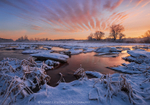 Marsh Magic