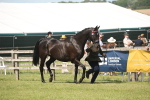 SBM_09084