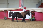 SBM_17424