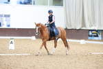 SBM_008390