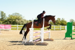SBM_000184