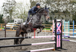 Senior Showjumping_10-11-2019-53