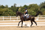 SBM_002815