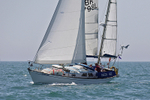 190629 QUEEN BEE GBR3897L D43A4814 2