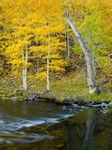 Rush Creek Splendor