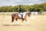 SBM_009849