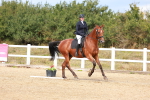 SBM_011805