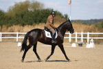 SBM_013629