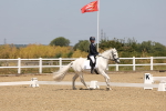 SBM_004247