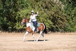 WJ6_7736