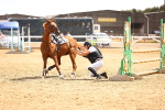 SBM_000915