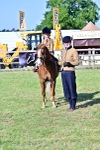 SBM_19803