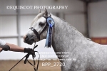 BPP_2720