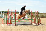 SBM_005528