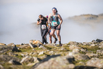 Langdale-990