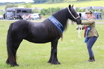 SIAL8668