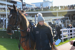 251025-Race 5-Loriko-9418