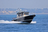 180506 PISCES - TARGA 27 1Y3A8331_Edit